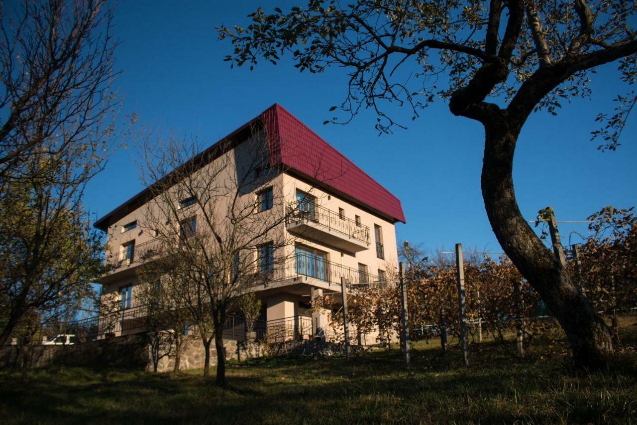 Panoramic Otel Baia-Sprie Dış mekan fotoğraf