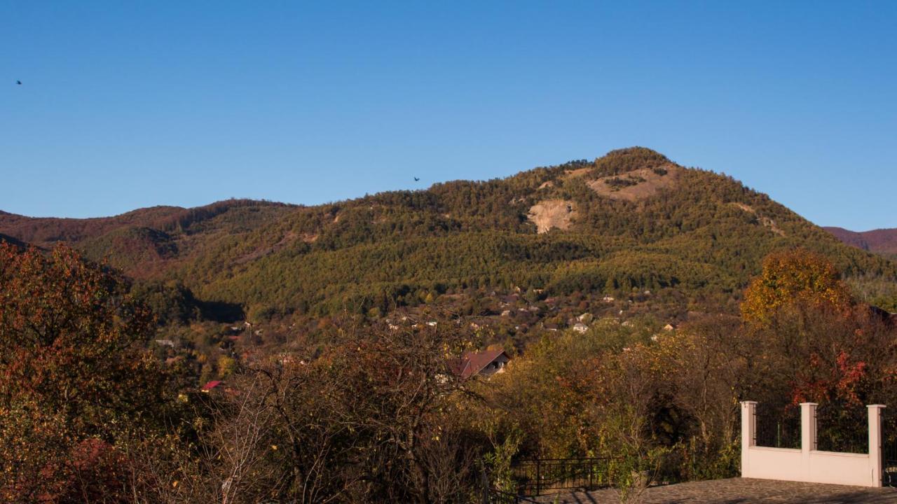Panoramic Otel Baia-Sprie Dış mekan fotoğraf
