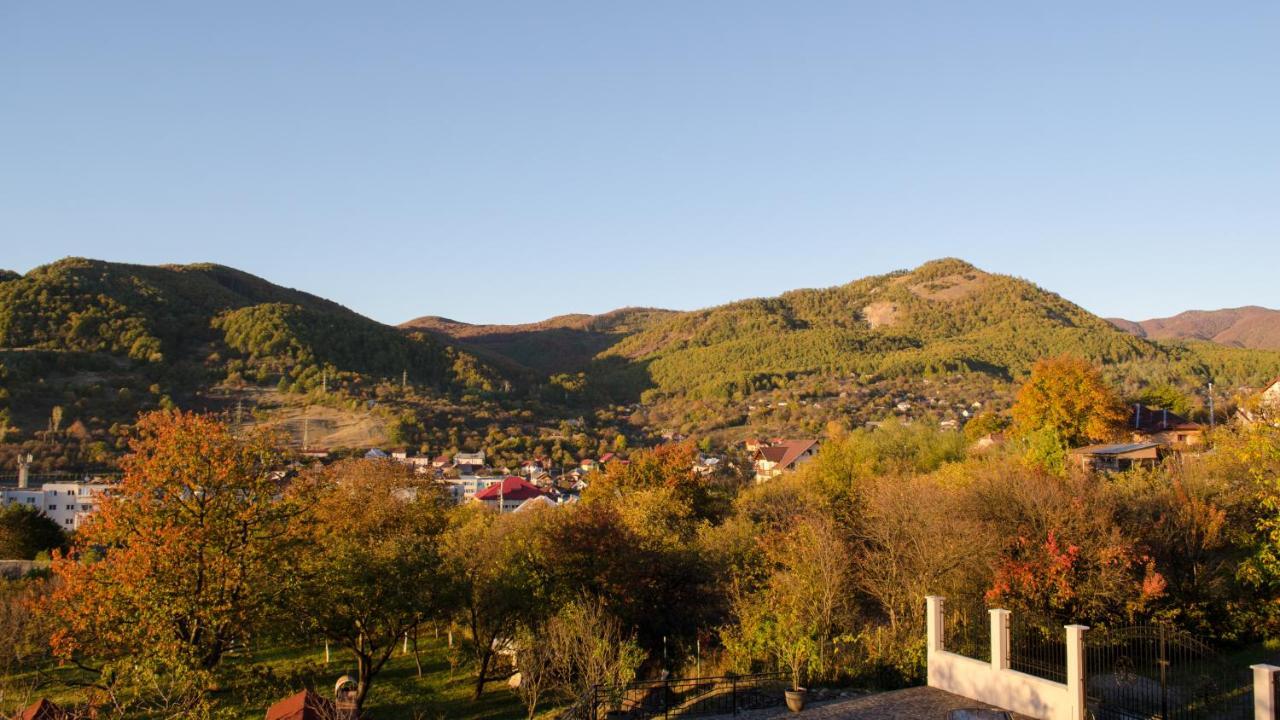 Panoramic Otel Baia-Sprie Dış mekan fotoğraf