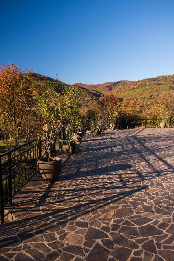 Panoramic Otel Baia-Sprie Dış mekan fotoğraf